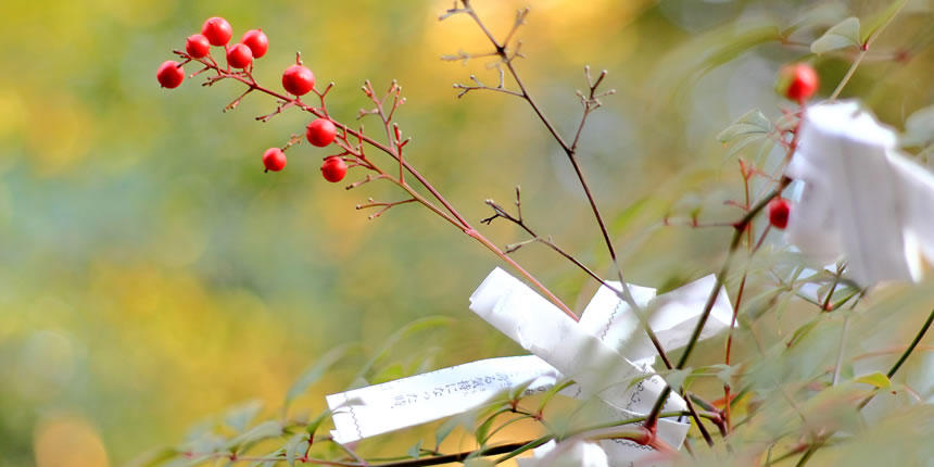 新年のご挨拶  株式会社ニッソーネット社長　山下吾一（やました　ごいち）