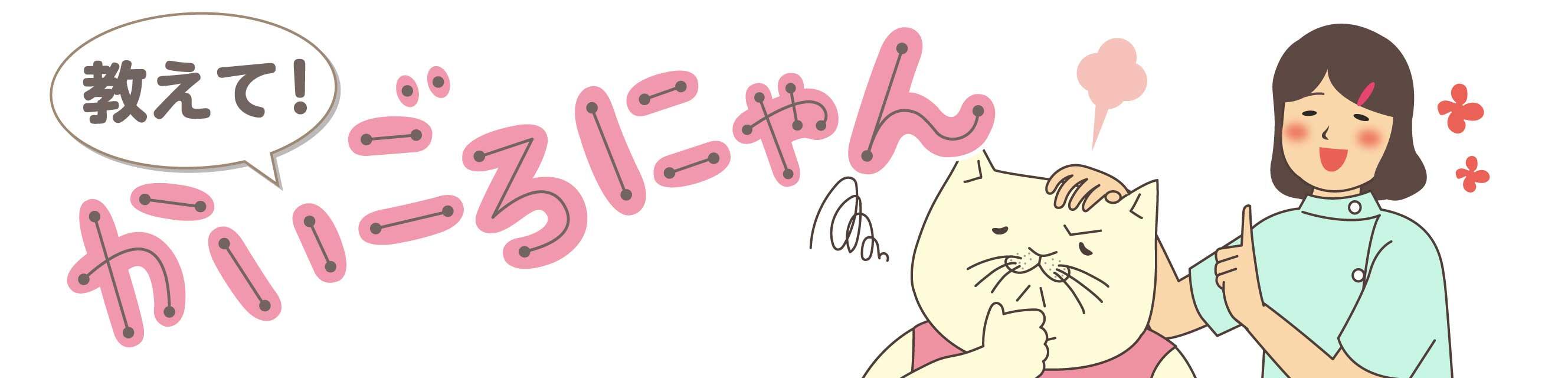 教えて！かいごろにゃん