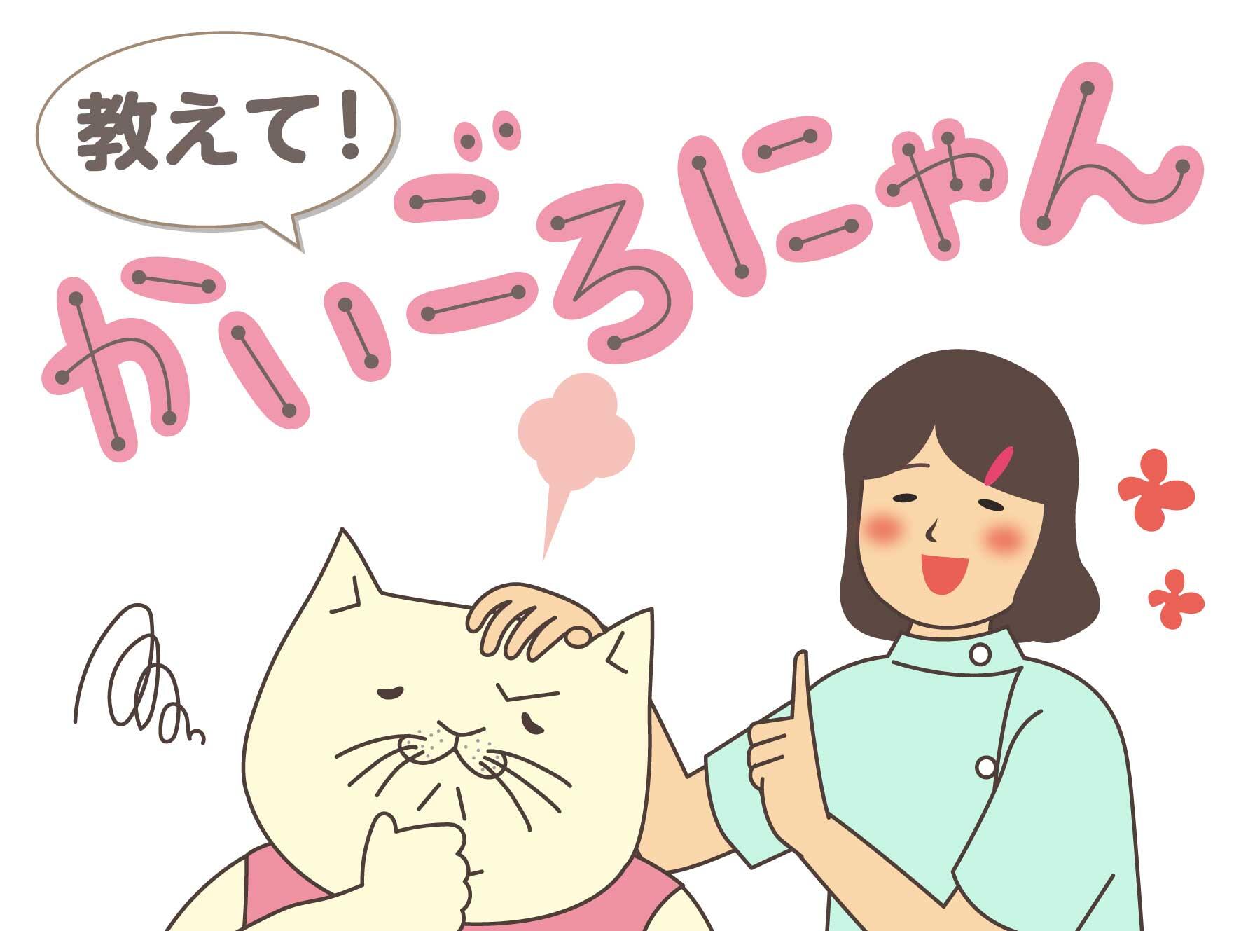 教えて！かいごろにゃん