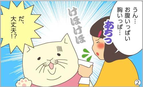 うん…お腹いっぱい胸いっぱ…あちっけほけほ。だ、大丈夫!?