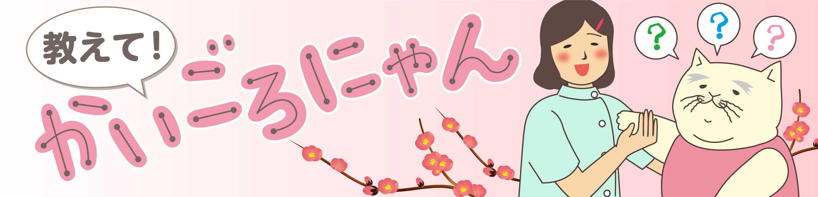 教えて！かいごろにゃん