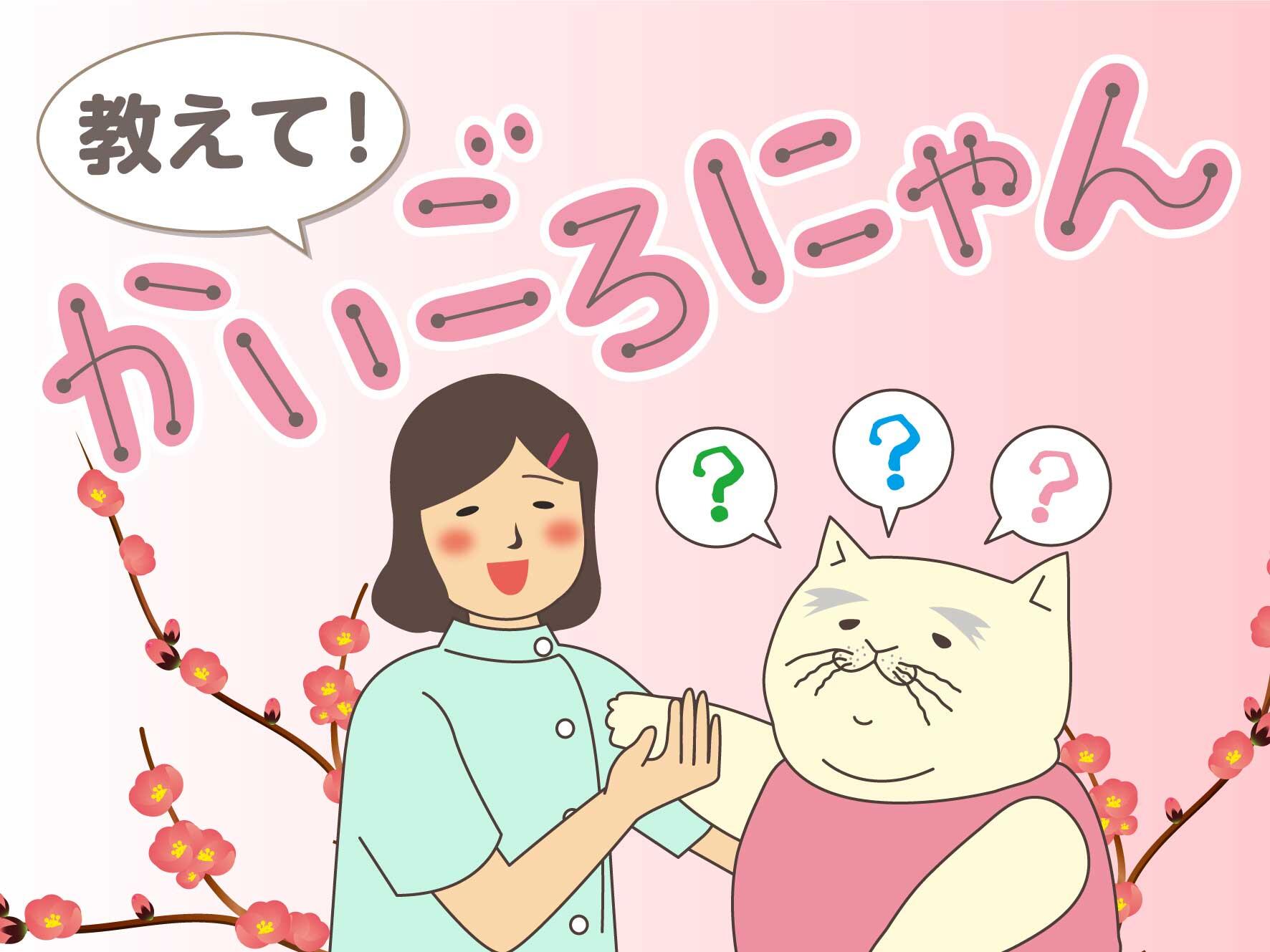 教えて！かいごろにゃん