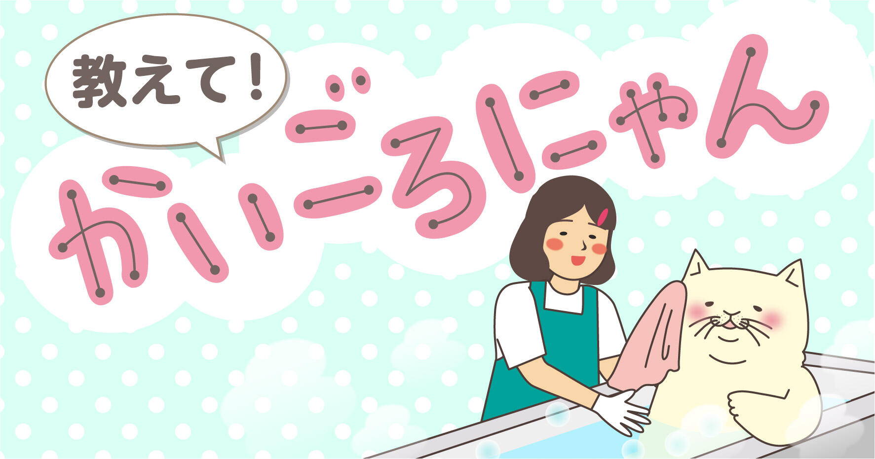 教えて！かいごろにゃん