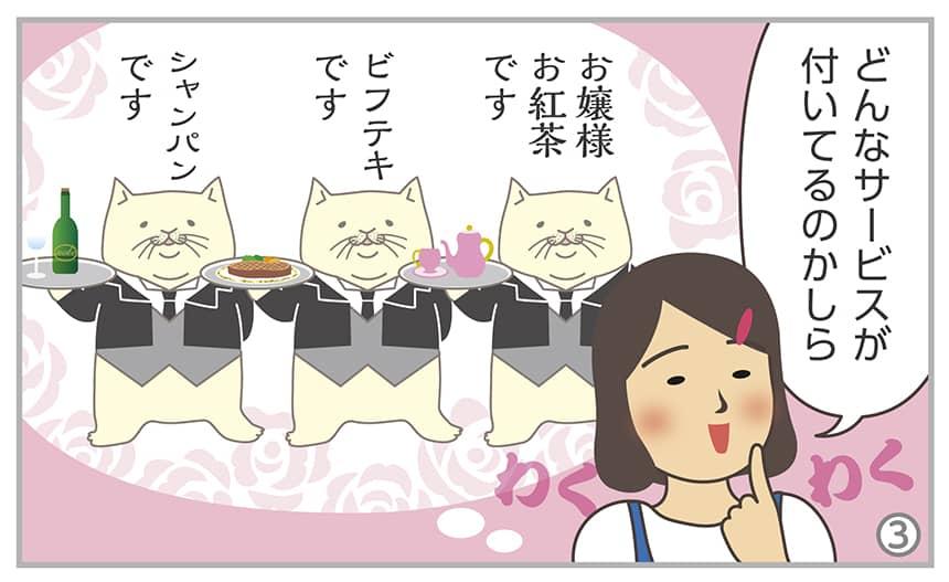 どんなサービスが付いてるのかしら