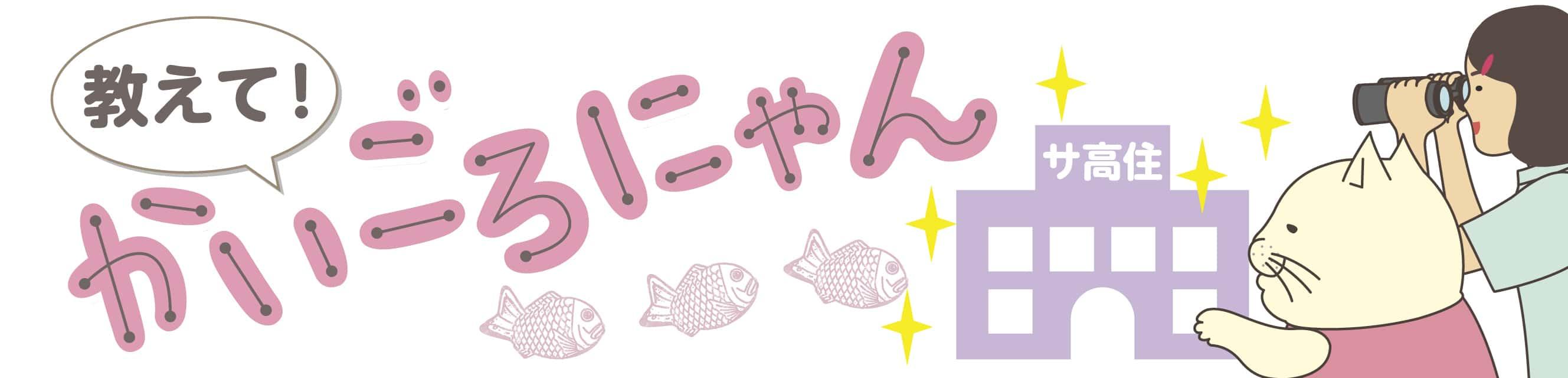 教えて！かいごろにゃん