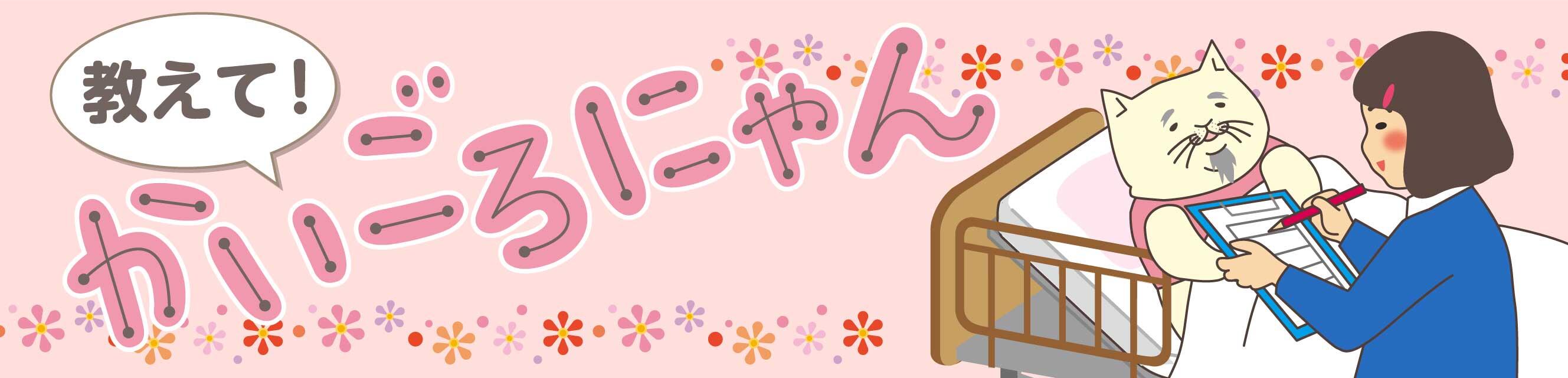 教えて！かいごろにゃん