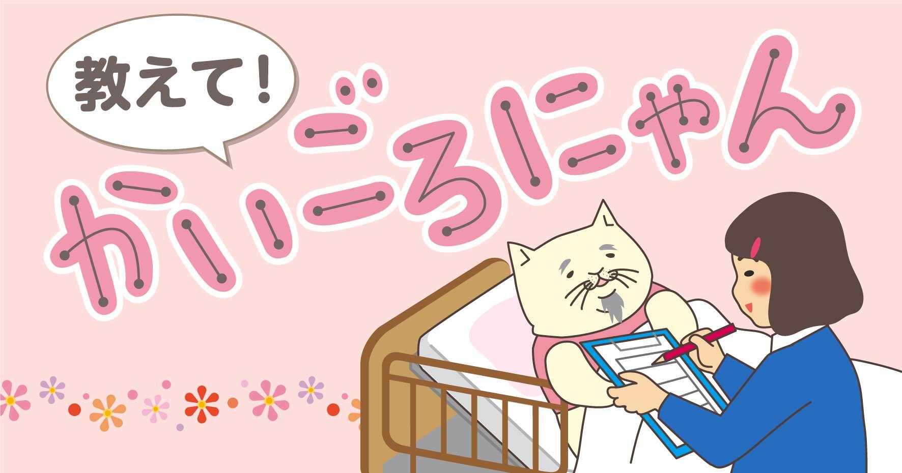 教えて！かいごろにゃん