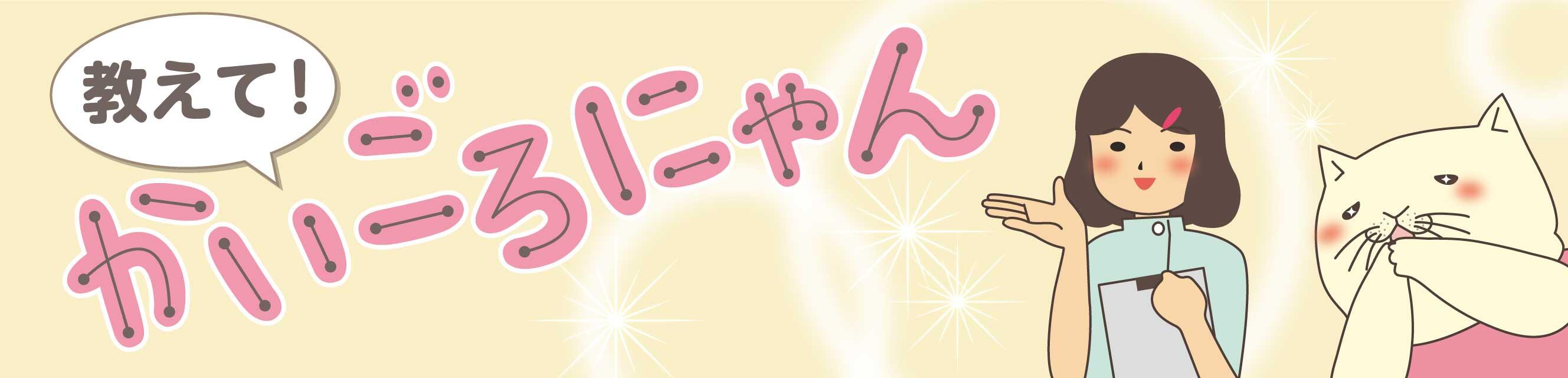 教えて！かいごろにゃん