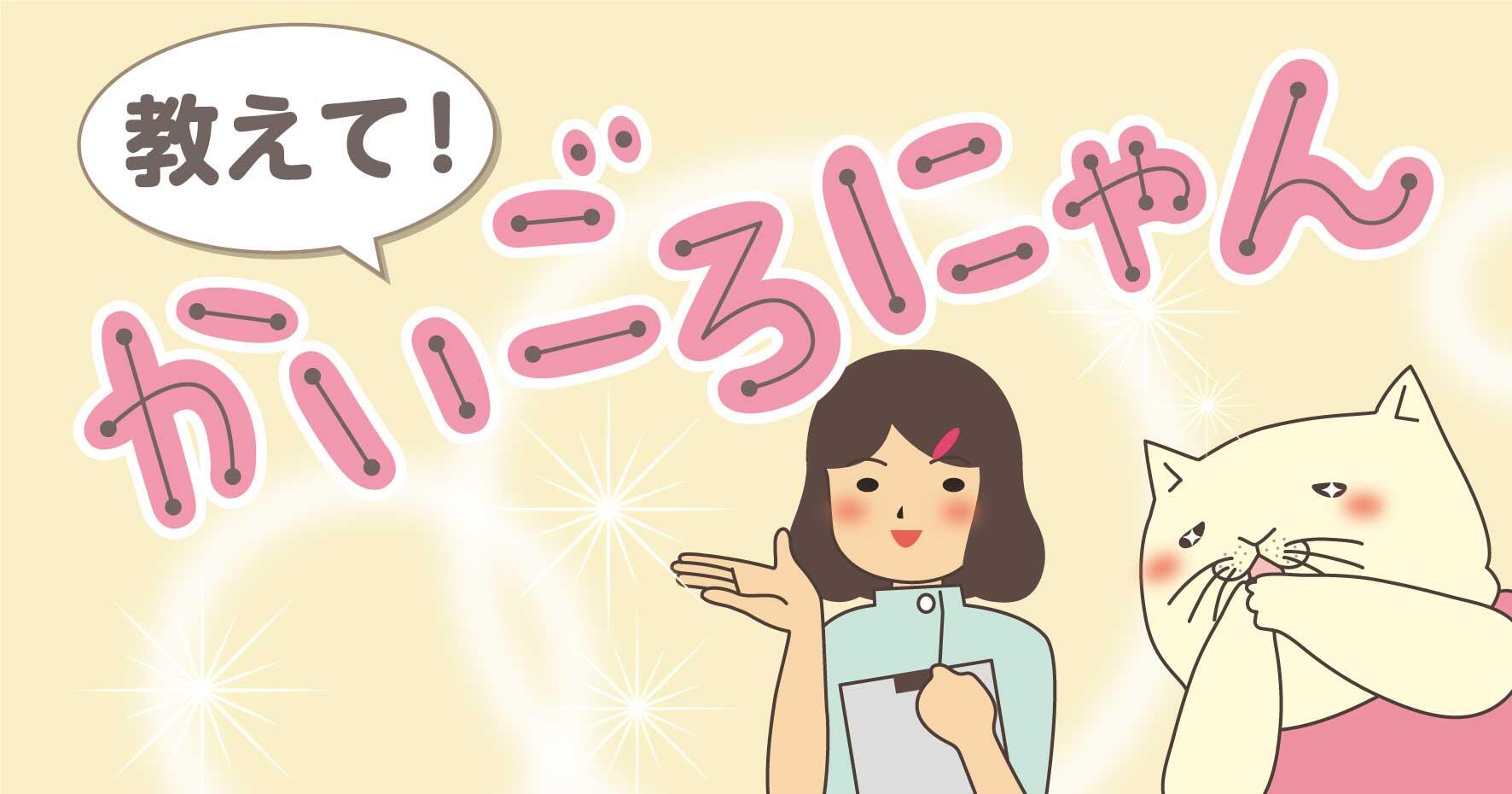 教えて！かいごろにゃん