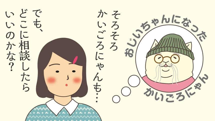 そろそろかいごろにゃんも…でも、どこに相談したらいいのかな?