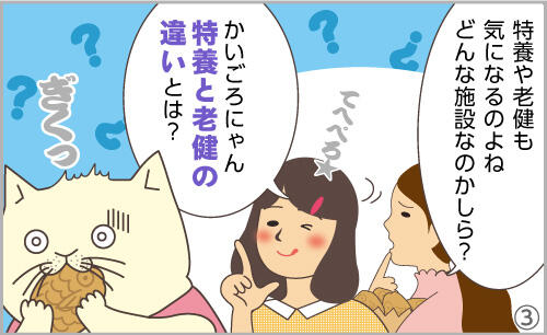 特養や老健も気になるのよね。どんな施設なのかしら?かいごろにゃん、特養と老健の違いとは?